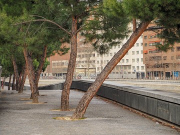 schief / Madrid