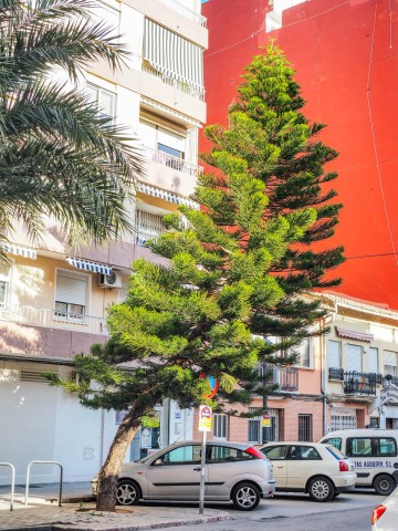 desorientiert / Valencia
