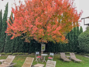 Rot! / Meran